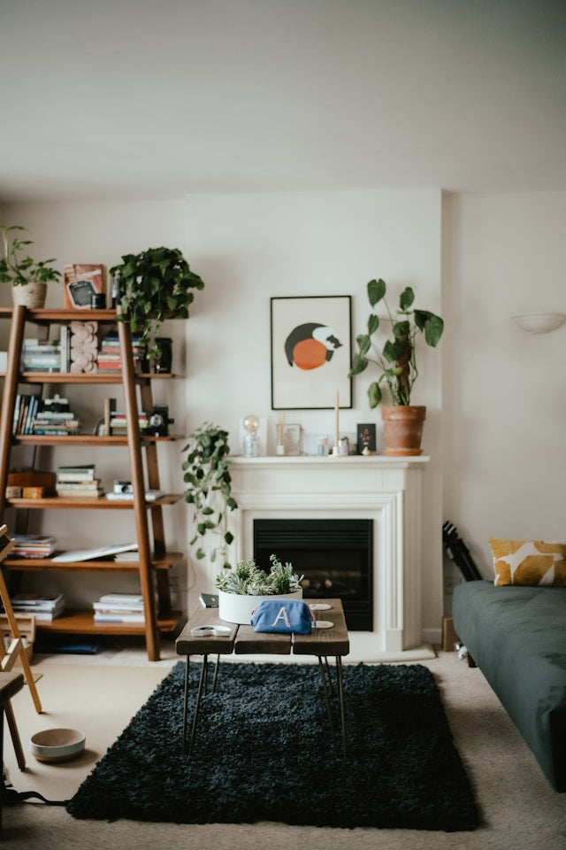 How to Clean Pet Hair From Carpets and Rugs