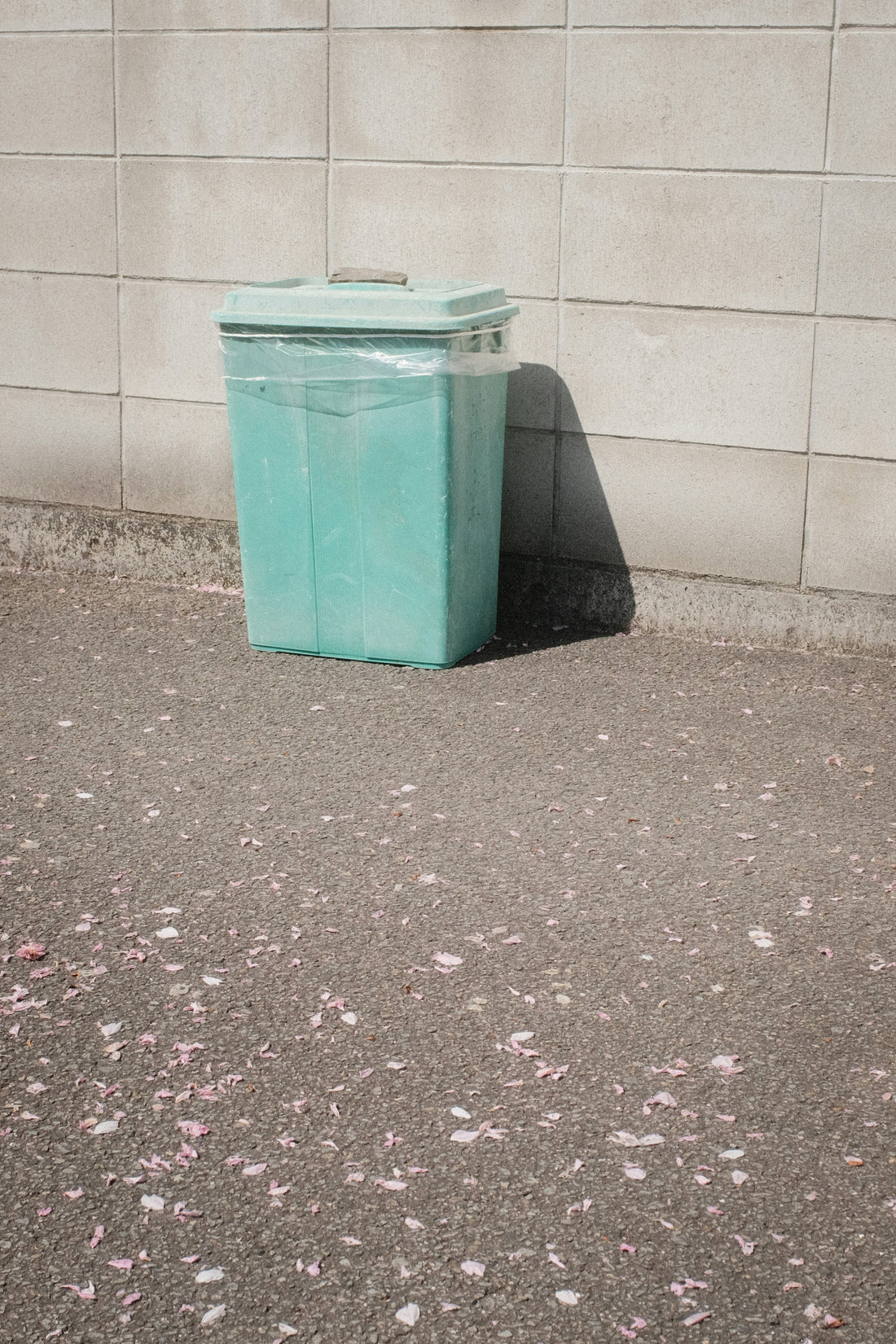Commercial Trash Can Sizes: A Practical Guide to Choosing the Right Capacity