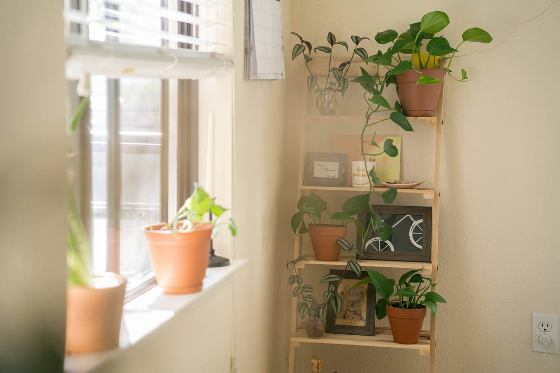 Simple Ways to Improve Air Circulation at Home