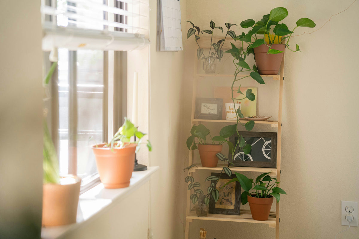 Simple Ways to Improve Air Circulation at Home
