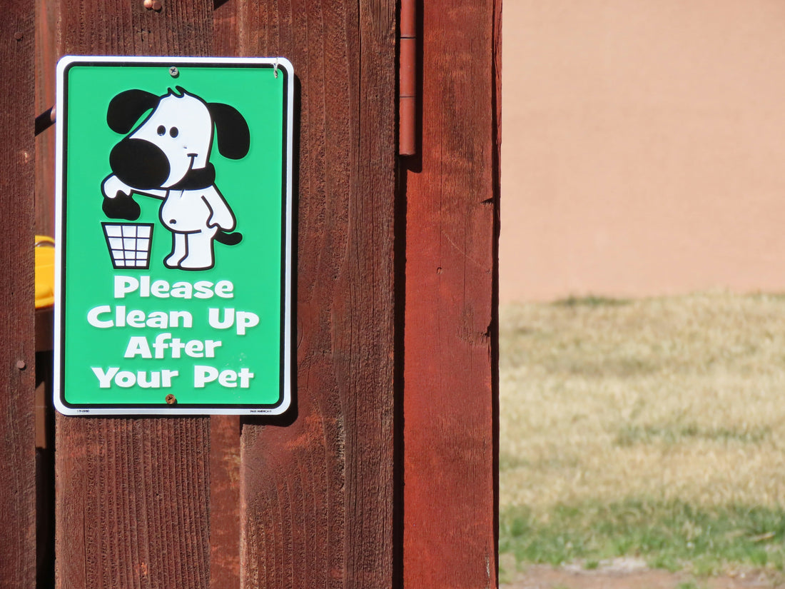 How to Set Up a Pet Cleaning Wipes Station Near the Door