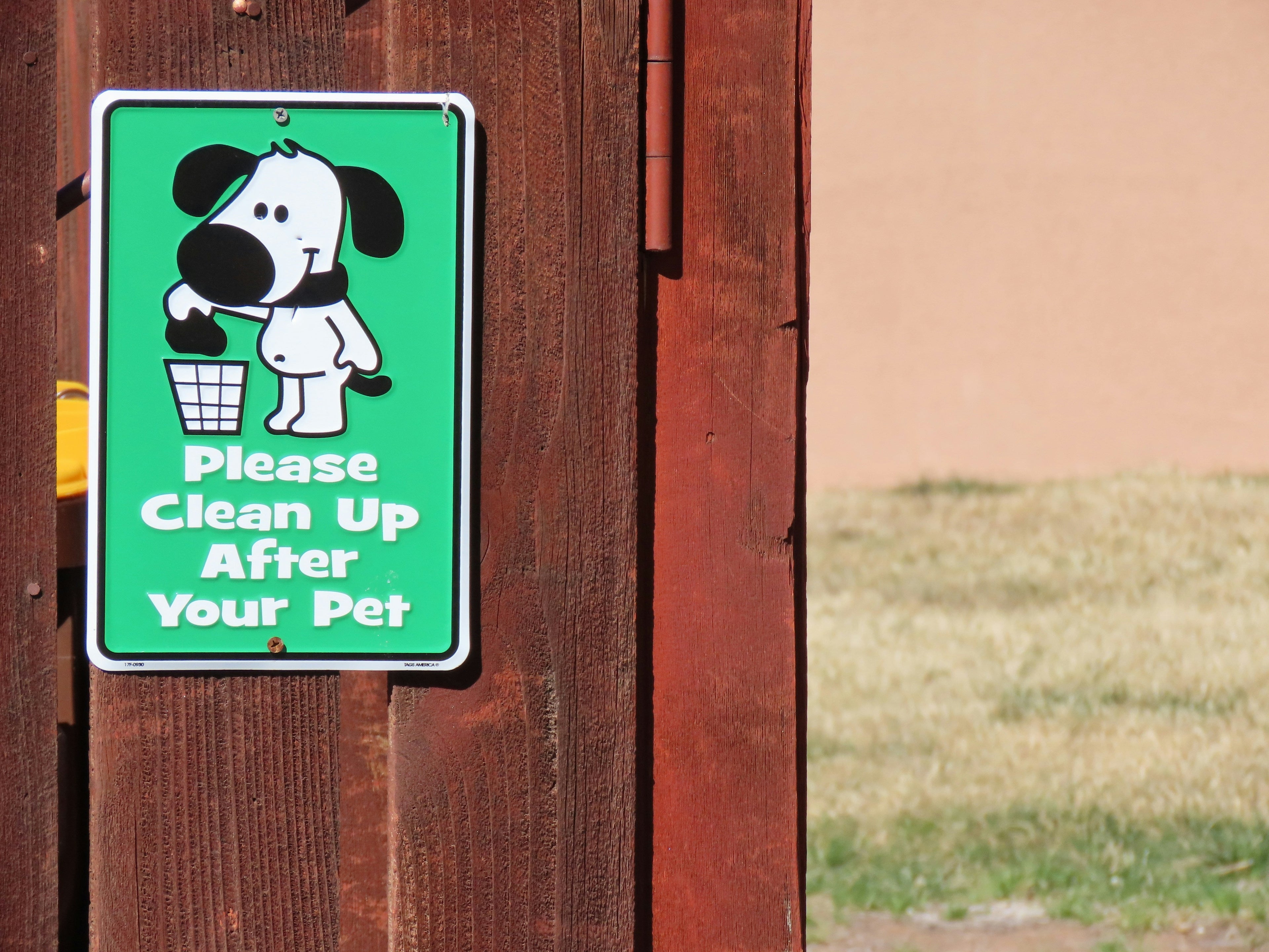 How to Set Up a Pet Cleaning Wipes Station Near the Door
