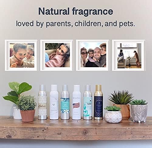 AP Fragrance Belfair Oaks Spa X 3 - Room Fragrance Air Freshener Spray - Concentrated Deodorizer, 6 oz