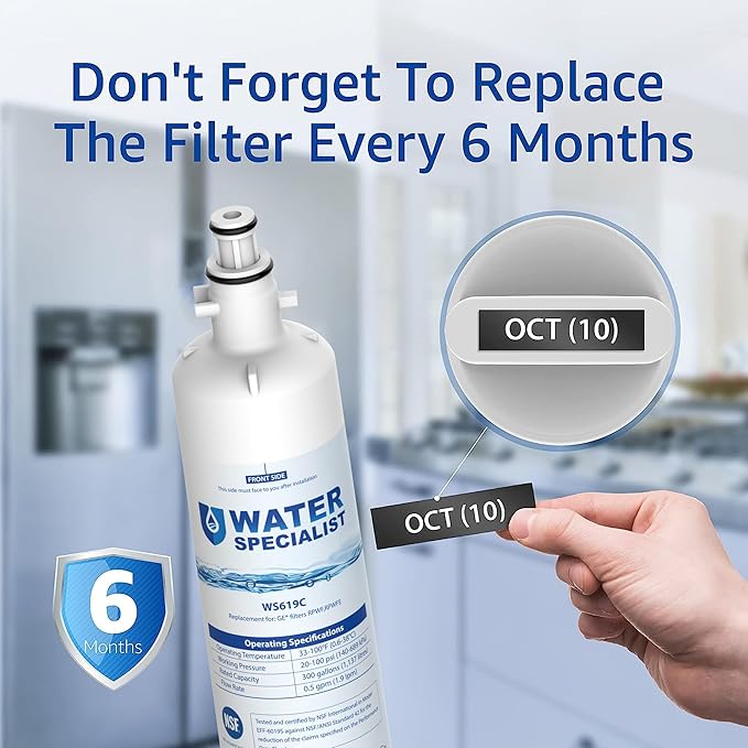 Waterspecialist WS619C Replacement for RPWFE®, RPWF (Built-in CHIP) Refrigerator Water Filter, Compatible with GYS22GMNES, GYE22HSKSS, PYE22PELDS, GFE26GMKES, GFE26GGHWW, GFE28GYNFS, PFE28KYNFS