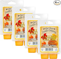 Our Own Candle Company Premium Wax Melt, Falling Leaves Scent, Handmade in The USA, 24 Cubes (4 Pack, 9.6oz Total)