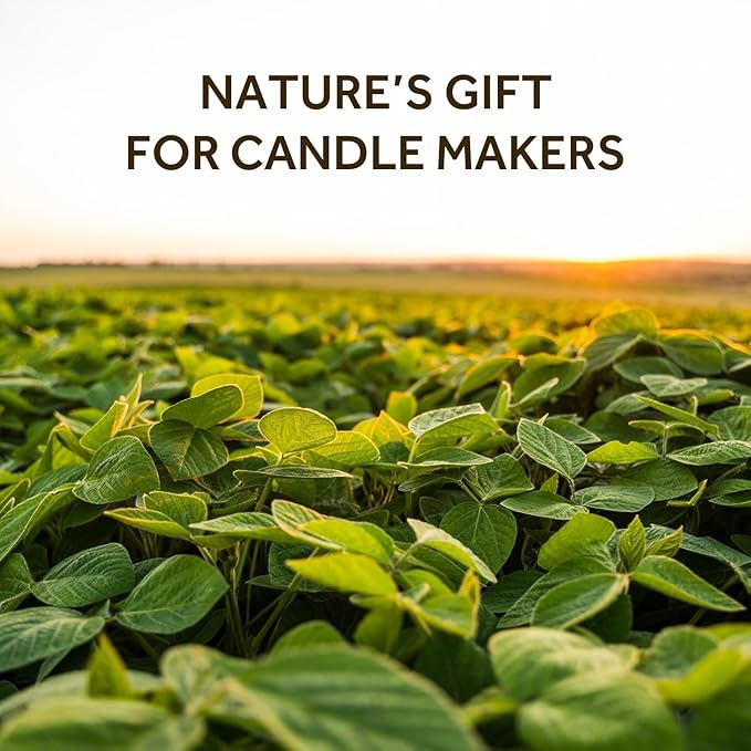NORVENCE Soy Wax for Candle Making, Natural Soy Wax Flakes 5lb, Premium Candle Wax for DIY Candle Crafting