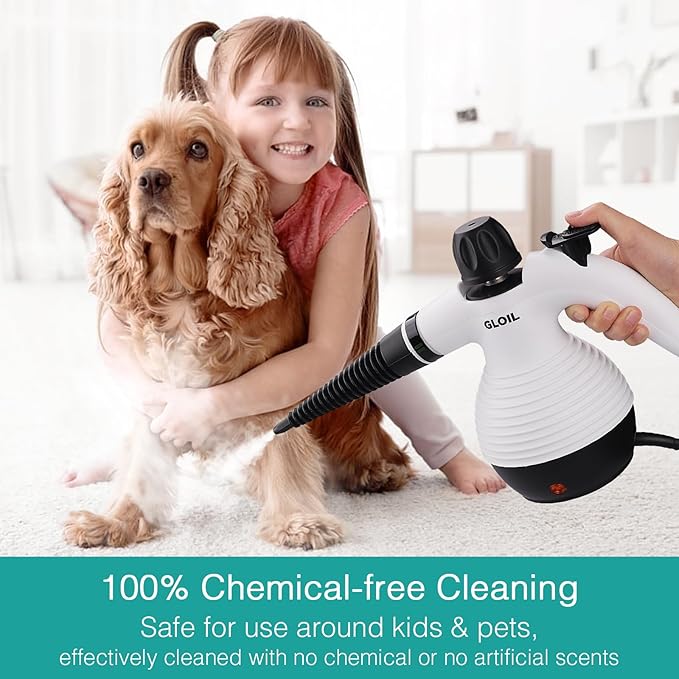 Handheld Steam Cleaner, Steamer for Cleaning, Multipurpose Portable Steam Cleaners for Home Use with Safety Lock and 10 Accessory Kit to Remove Grime, Grease, and More, Save Time and Effort