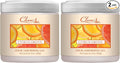 Clear Air Odor Absorber Gel - 15 oz, Pack of 2 - Air Freshener Absorbs and Eliminates Odors in Bathrooms, Cars, Boats, RVs and Pet Areas - Made with Essential Oils - Citrus Grove Scent
