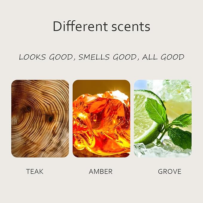 Amber Air Freshener, Stone Scent Starter Kit, Odor Eliminator - Car Visor Clip (Pack of 1 - Amber Scent)