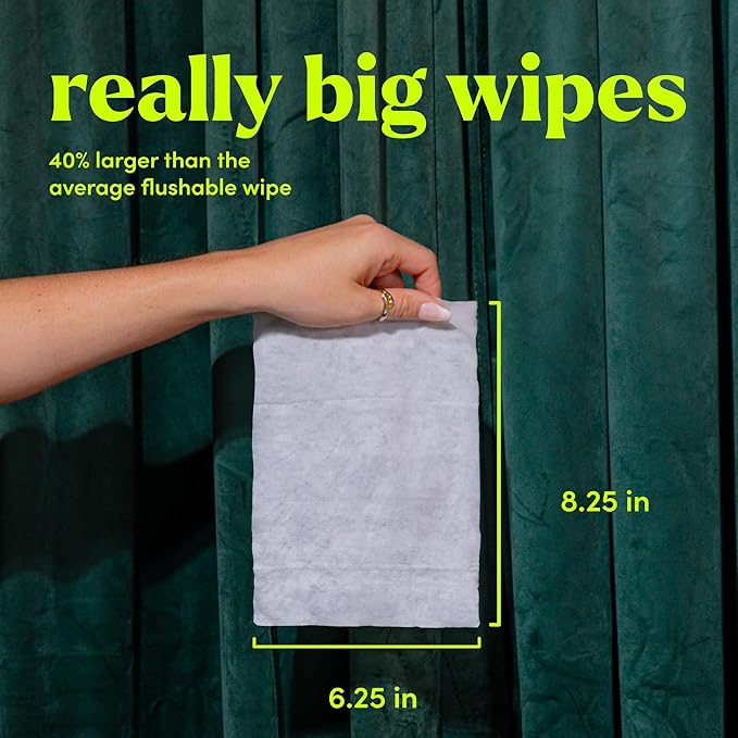 goodwipes Flushable Wipes Travel Size - Extra Large Adult Wet Wipe - On-the-Go Portable Wipes - Sewer & Septic Safe - Hygiene Essentials - Shea Coco & Rosewater, 108 Count (6 Packs)