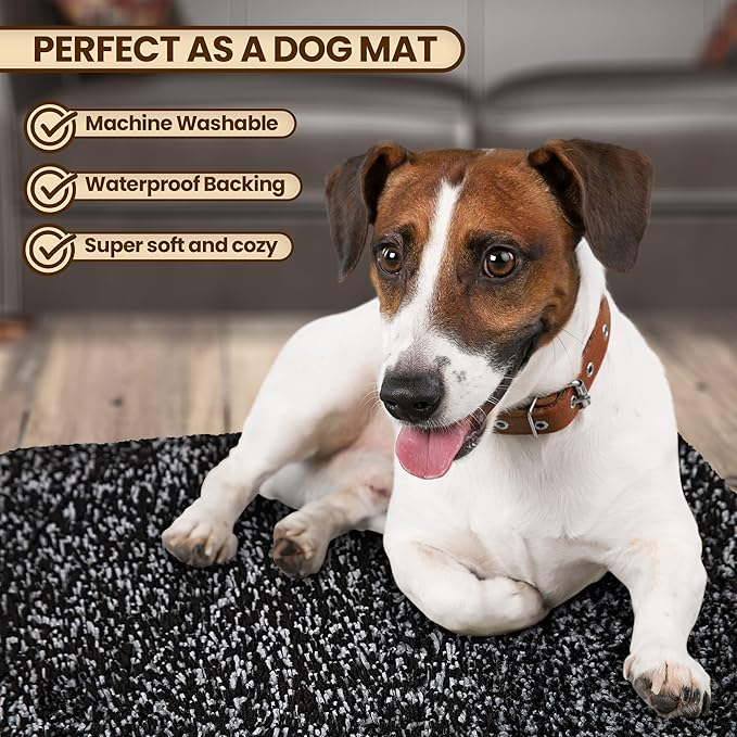 Premium Microfiber Indoor Door Mat – 36"x72" Washable Entry Mat, Non-Slip, Waterproof Backing, Super Absorbent, Low Profile Entryway Doormat for Indoor Entrance