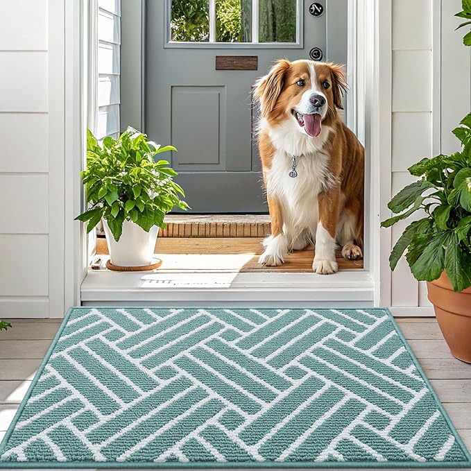 OLANLY Indoor Door Mat, 32x20 Inch, Dirt Resistant and Absorbent, Non-Slip Rubber Backing Floor Mats, Easy Clean Low-Profile Doormat for Entryway, Front Door, and Inside Entrance, Sage Green