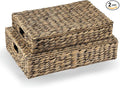 Set of 2 Decorative Storage Boxes With Lids for Home Decor, Shelves